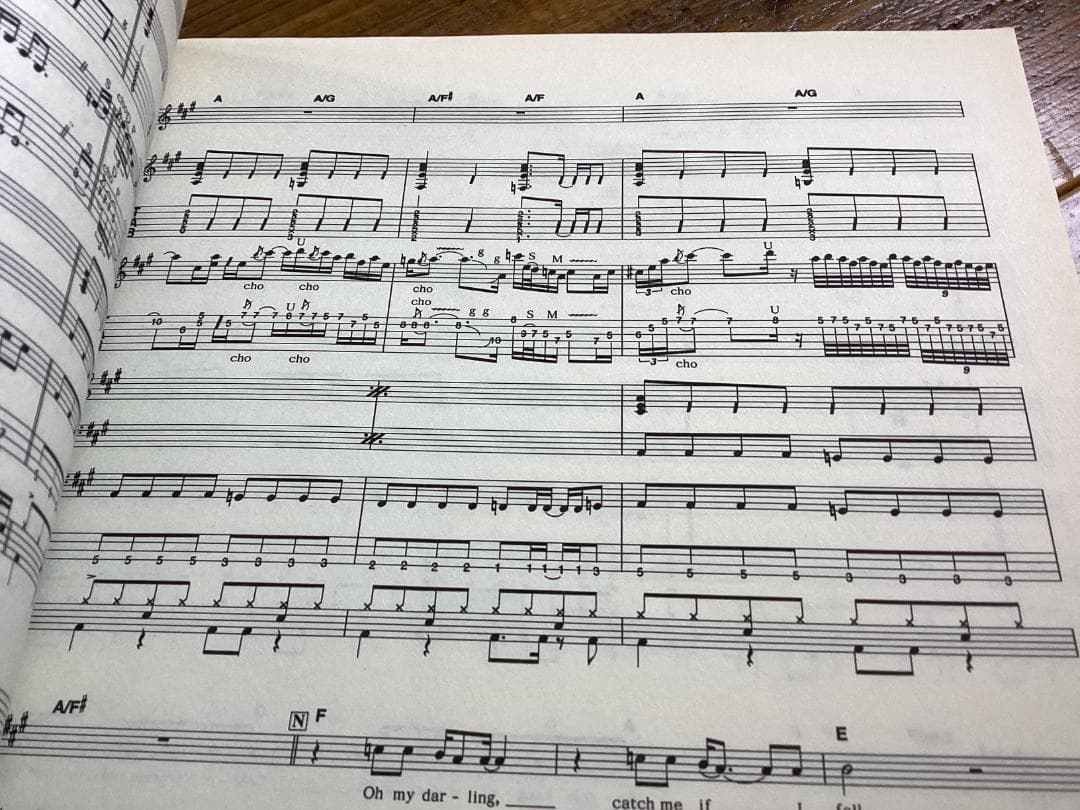 ★楽譜/Y&T/ミュージカリーインコレクト/タブ譜/バンドスコア