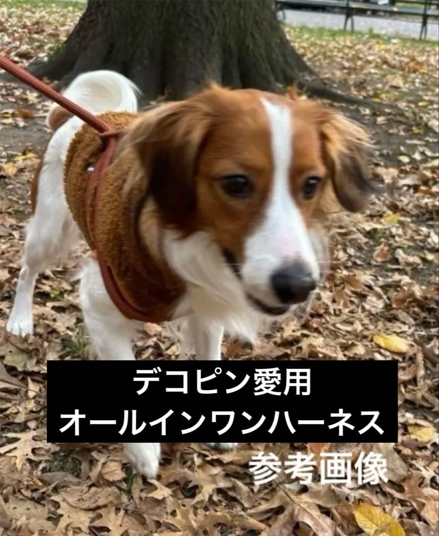 ❤︎\"大谷デコピン愛用 Boo'oh Ray Harness オールインワン 新品