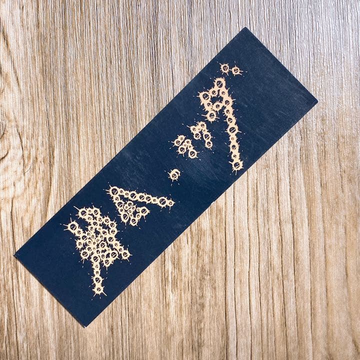 SUPER BEAVER DVD 未来の続けかた スーパービーバー