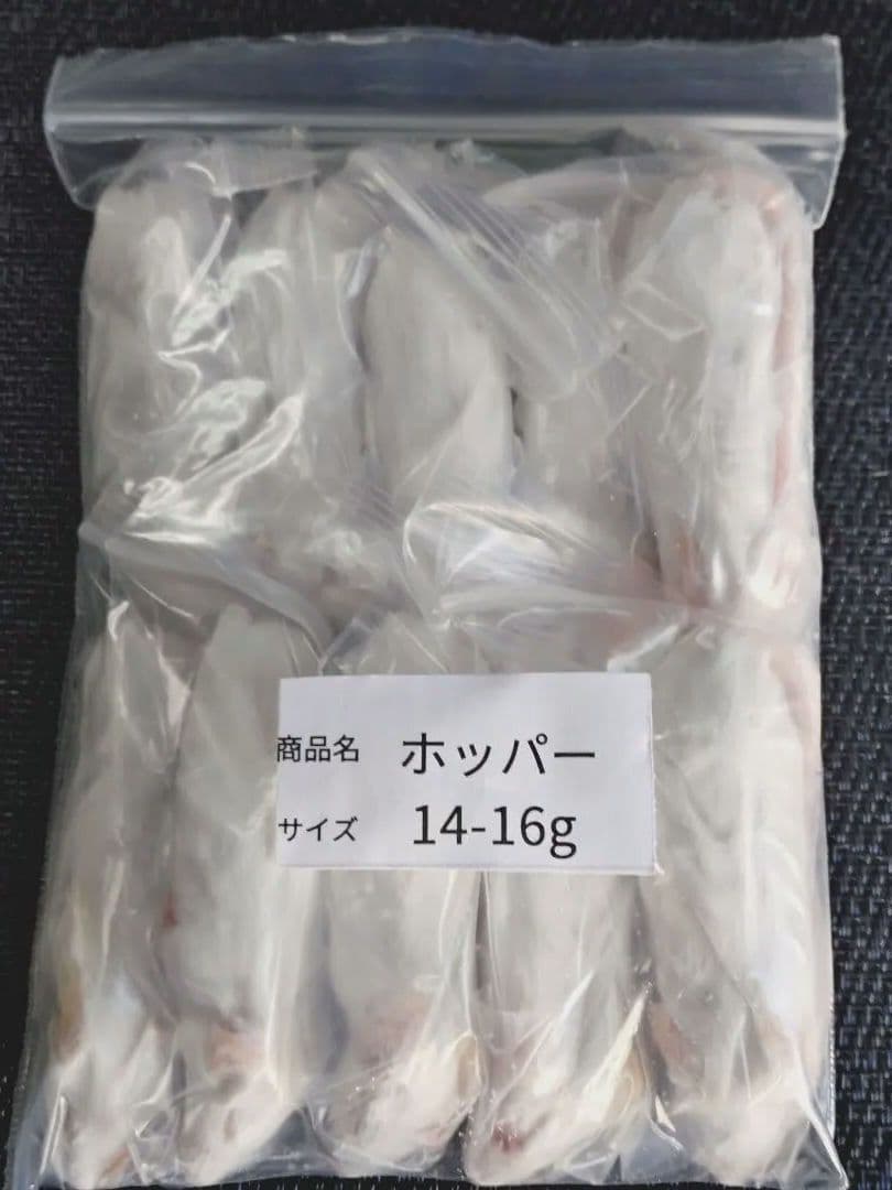 TSK　送料無料　冷凍マウスファジーS20匹リタイア30匹ホッパー20匹