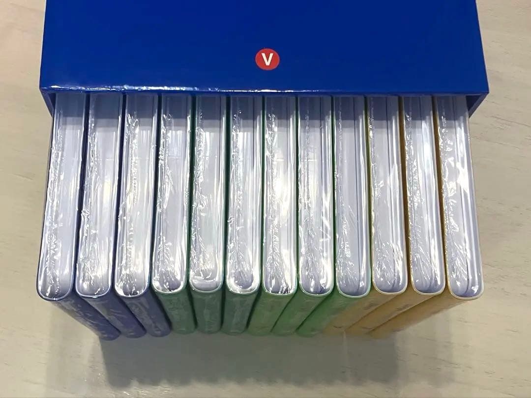 新子役　美品　ディズニー英語システム　dwe ストレートプレイ dvd