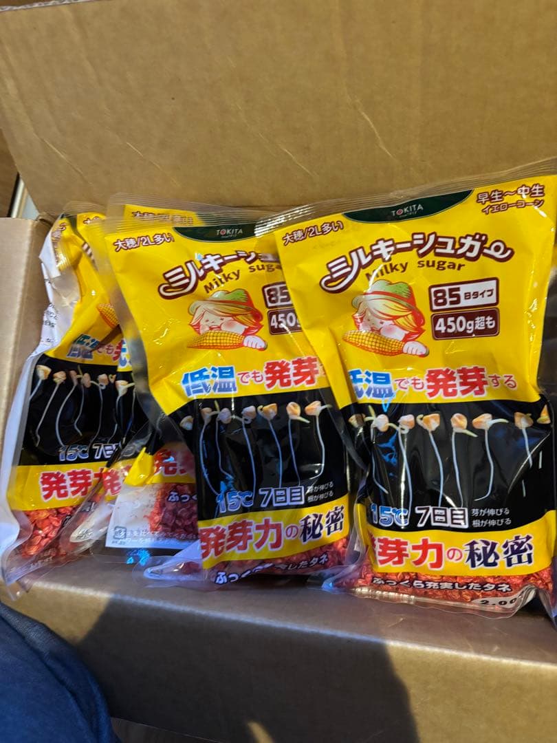 トウモロコシ種「ミルキーシュガー85 」2袋