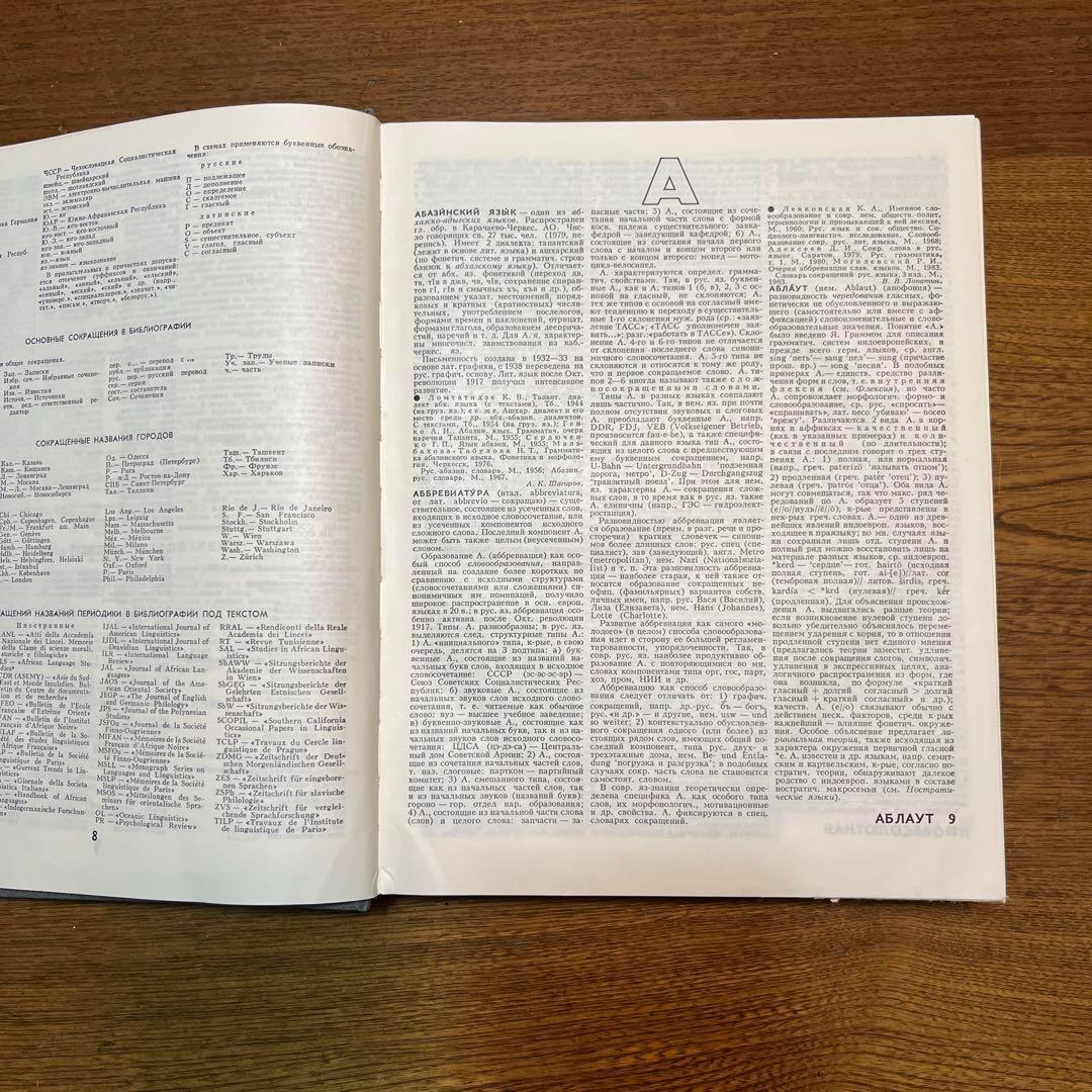 ロシア語　言語学百科事典