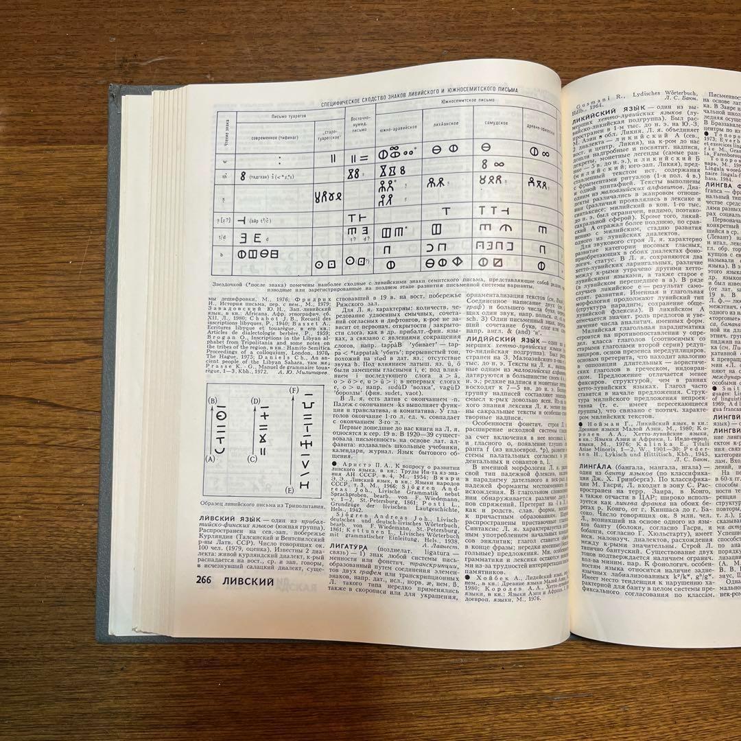 ロシア語　言語学百科事典