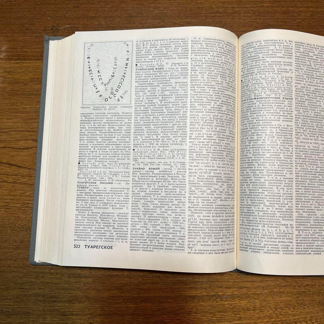 ロシア語　言語学百科事典