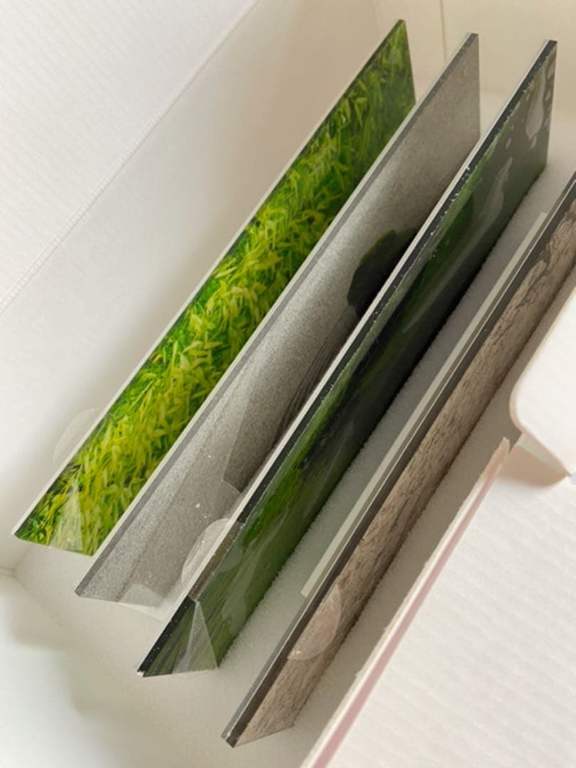 LIKELEMENTS フォトフレームセット