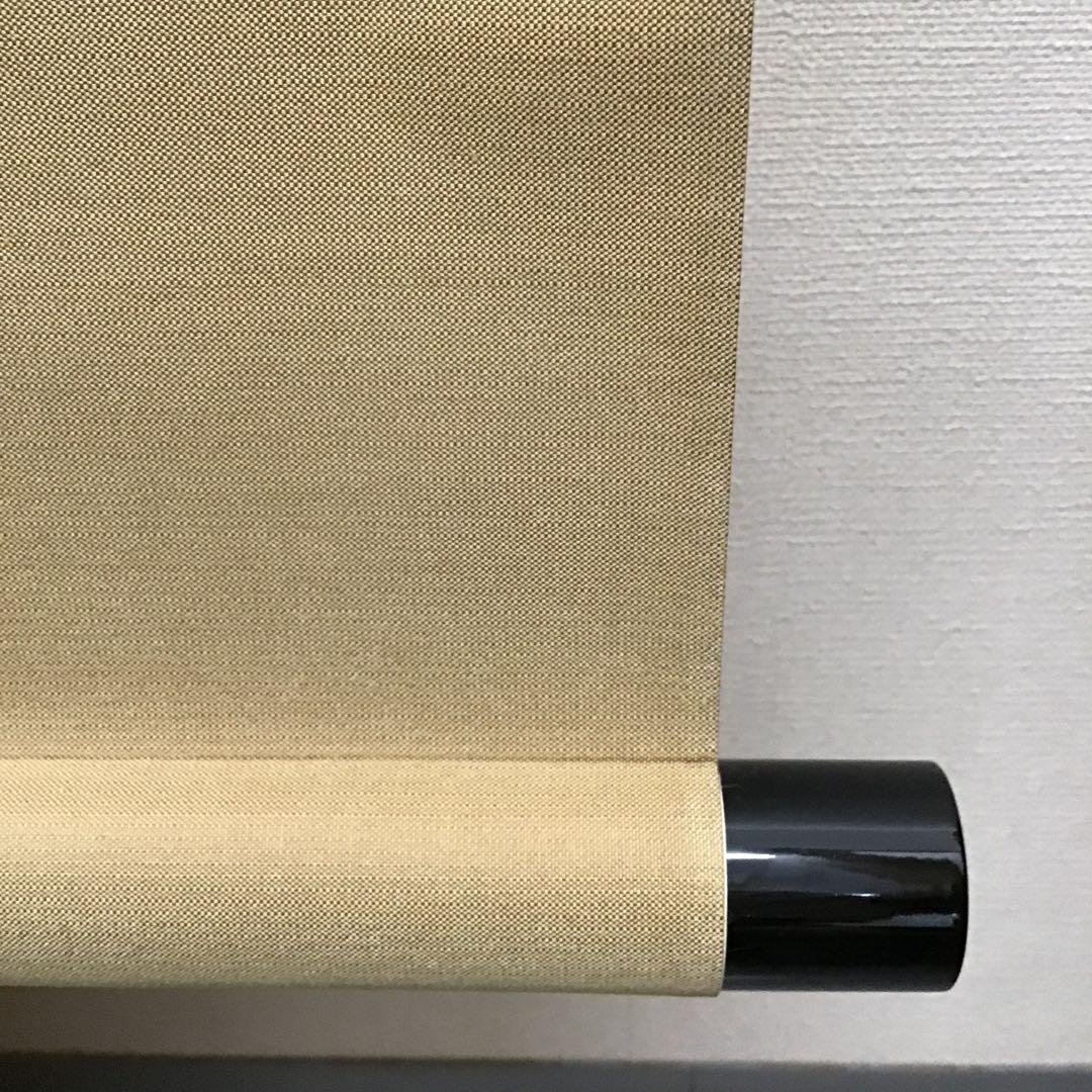 K掛軸　延年と益壽　梅花水墨画に淡紅の彩色添 閔勝基作　共箱　紙箱　S941KJ