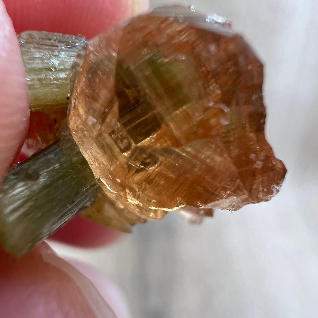 ヘソナイト ガーネット ダイオプサイト 共生 鉱物 標本 原石