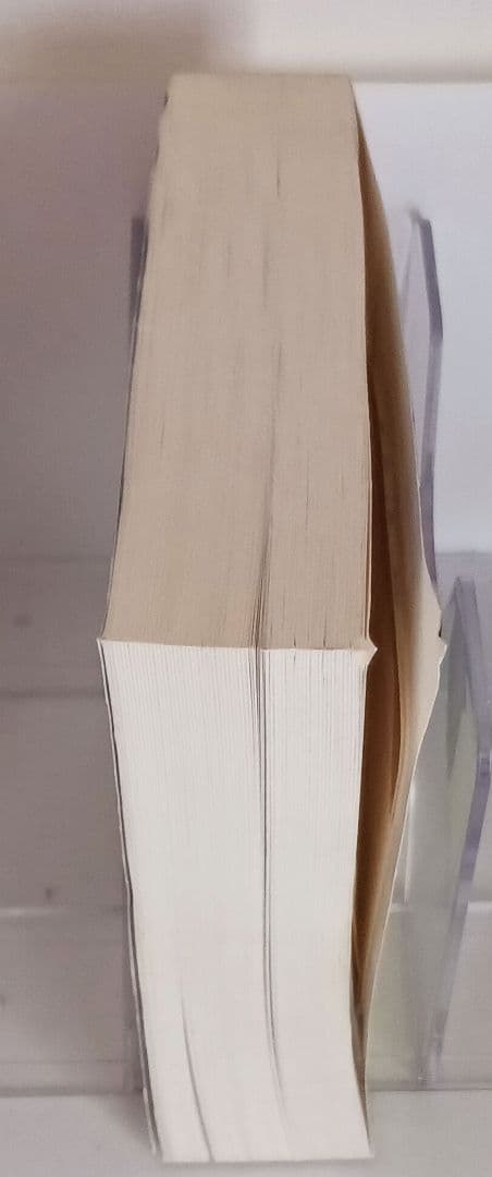 Inside Delphi RayLischner著 アスキー出版局 絶版美品