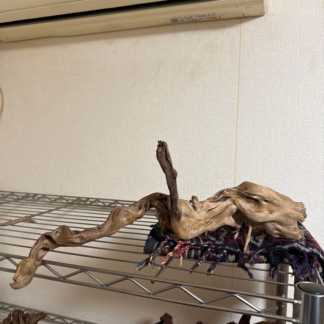 水槽用流木 中型 自然な枝状